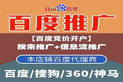 某某SEM团队成功提升网站流量与转化率的实战经验